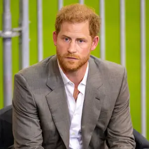 Prince Harry Snubs Royal Family in 'Spare' Acknowledgements Section: Who Did He Thank?