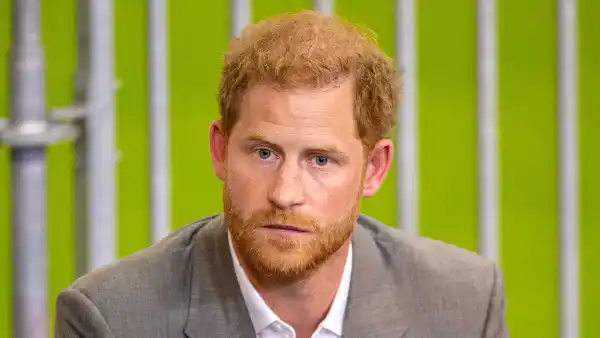 Prince Harry Snubs Royal Family in 'Spare' Acknowledgements Section: Who Did He Thank?