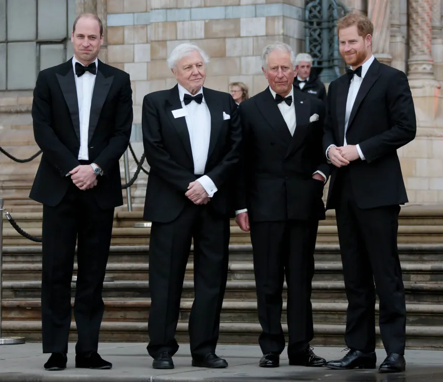 Prince Harry Wants Royals to Have 'Relationships' With Archie and Lili: I Want ‘A Family, Not an Institution’ bow ties