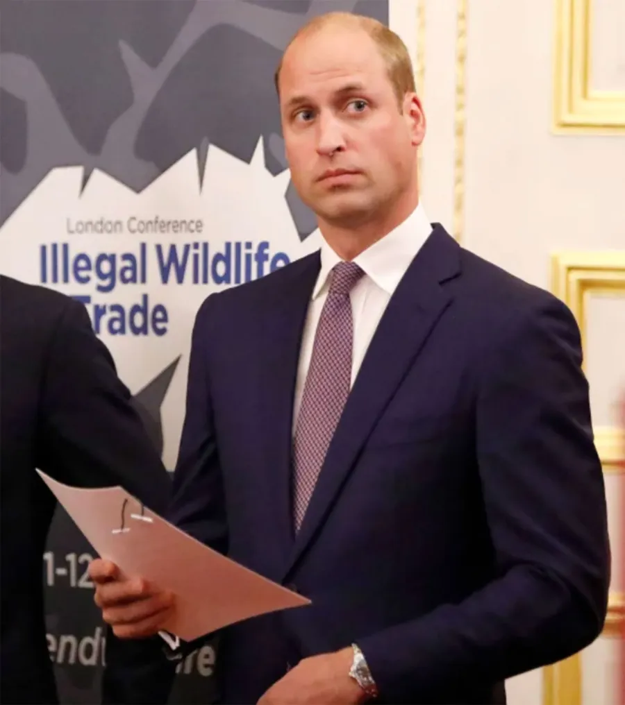 Prince Harry: William Was 'Freaked Out' by Meghan Markle Hugging Him Despite Being 'Religious' Viewer of 'Suits' blue suit