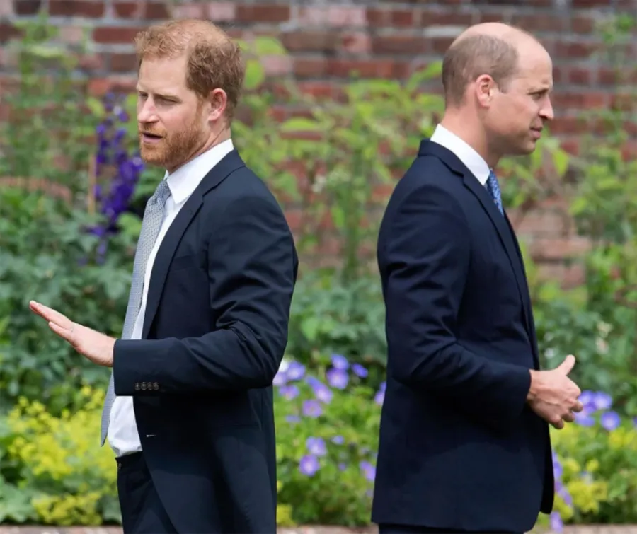 Prince Harry's Biggest Revelations About Princess Kate in His Book 'Spare': Fights With Meghan Markle and More facing away