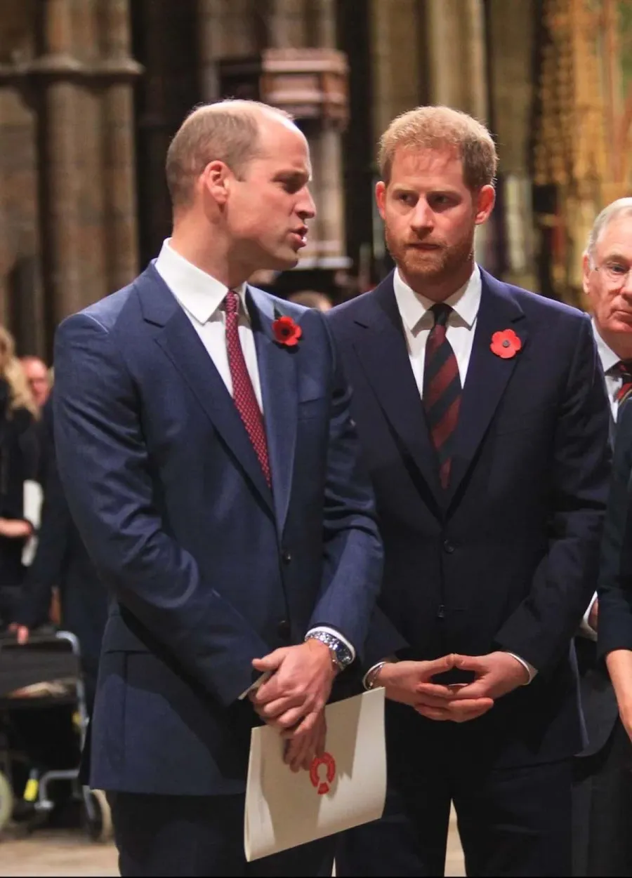 Prince Harry’s ‘Spare’ Memoir: Biggest Bombshells About Prince William