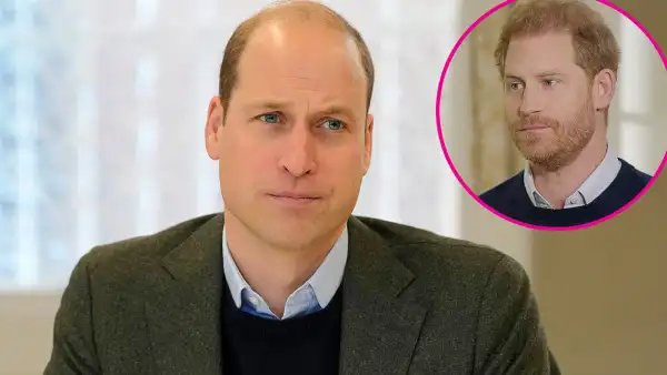 Prince William Thinks Prince Harry Is 'All Smoke and Mirrors' and 'Not to Be Trusted' -052