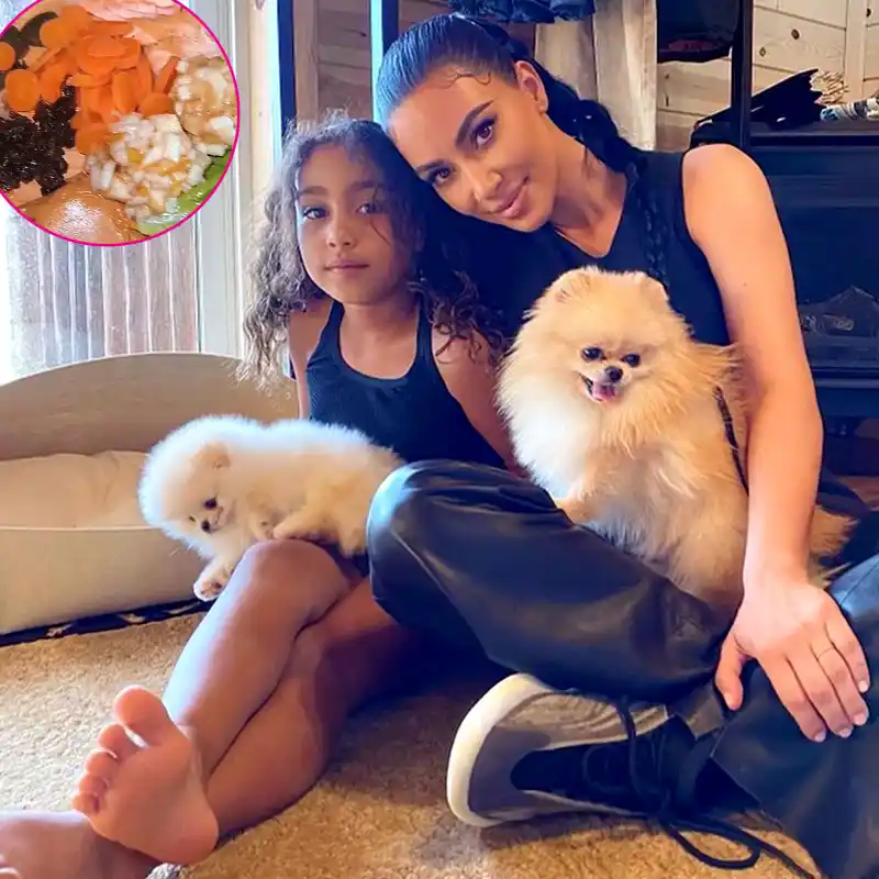 Promo North West Spoils Her Dogs With a Large Holiday Meal After Garage Backlash
