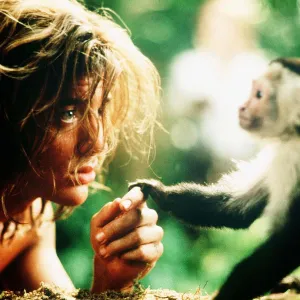 Stars Share Working Animals