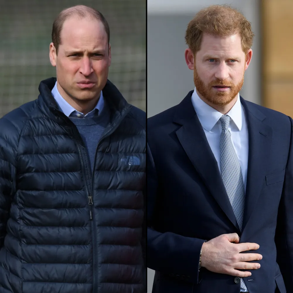 Prince William &lsquo;Became Livid&rsquo; After Harry Went to Queen Elizabeth For Permission to Keep Pre-Wedding Beard: &lsquo;He Wouldn't Let It Go&rsquo;