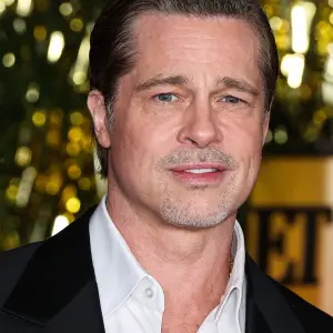 Brad Pitt Reveals Favorite Sex Scene