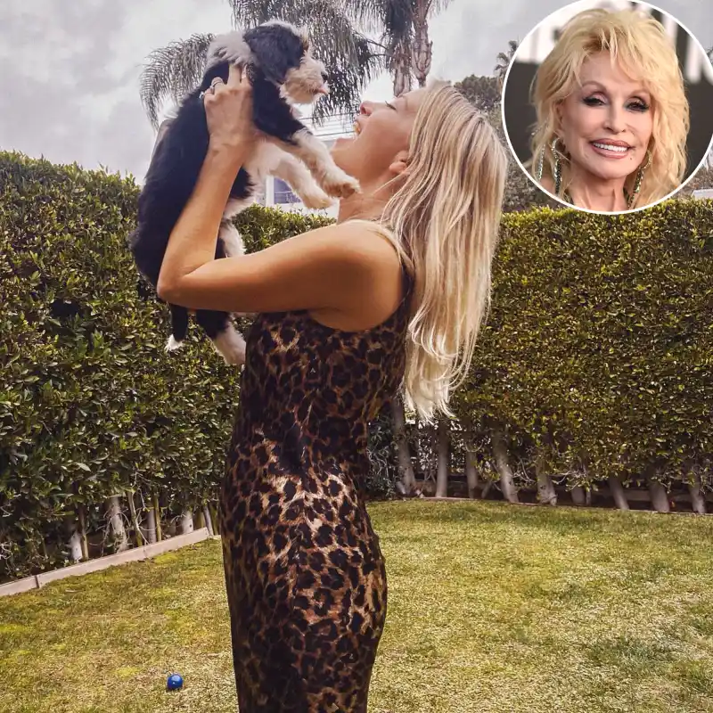 Celebs Who Named Pets After Other Stars Meredith Hagner and Dolly Parton