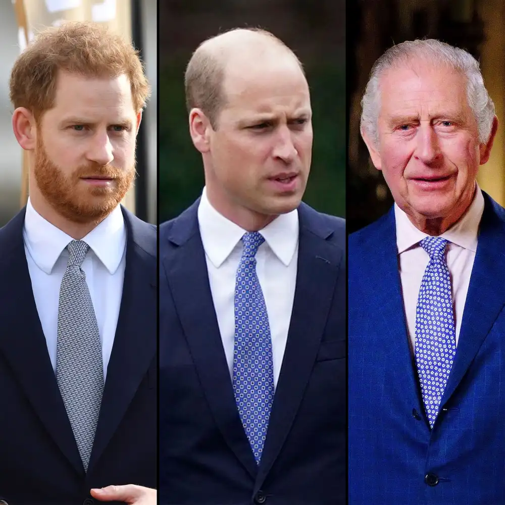 Prince Harry Says William Was &lsquo;Seething&rsquo; After King Charles' Team Planted Stories About His Family: 'The Last Time'