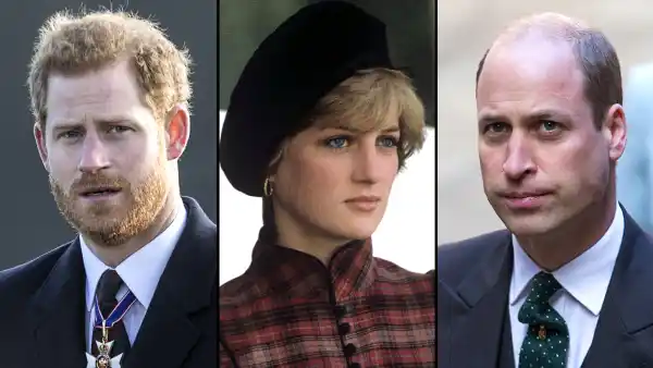 Prince Harry Thinks Late Mom Princess Diana Would Be 'Sad' Over Rift With Prince William: I Feel Her 'Presence'