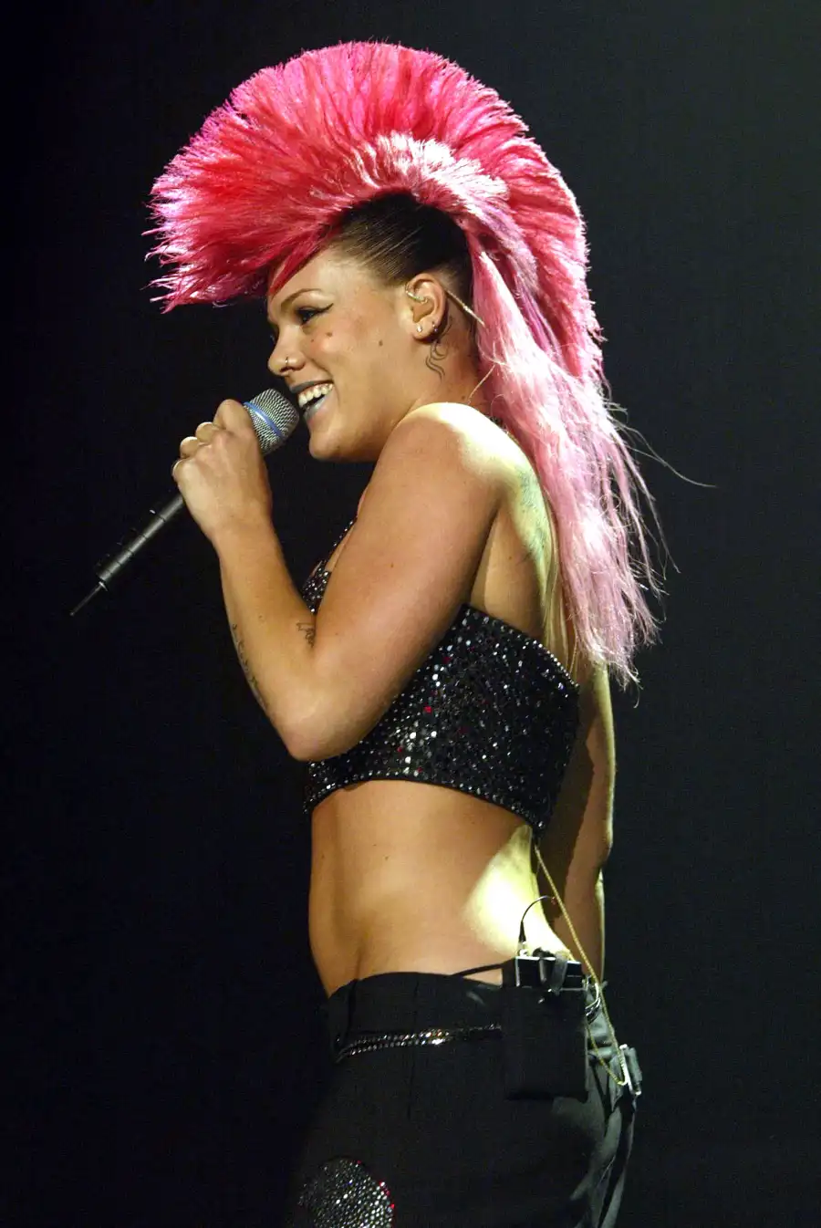 2004 Pink Through The Years