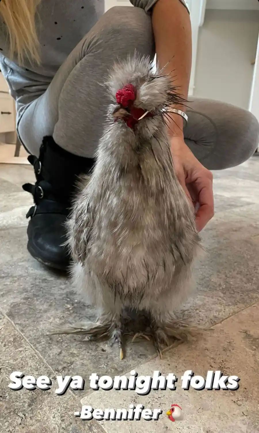 Celebs with chickens christina haack