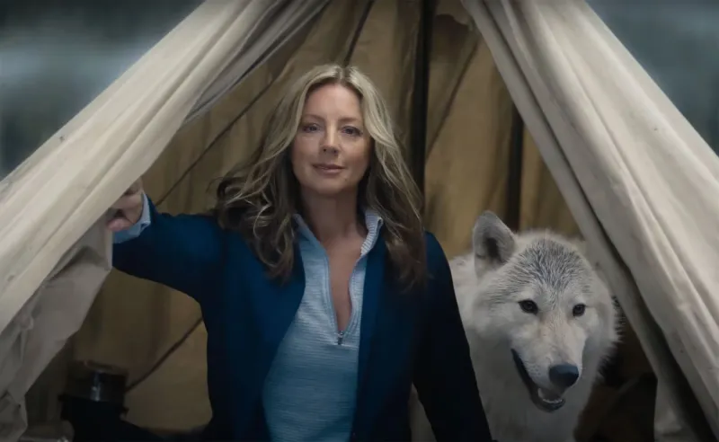 Celebs in Super Bowl 2023 Commercials: Alicia Silverstone, Serena Williams and More Big Game Cameos tent