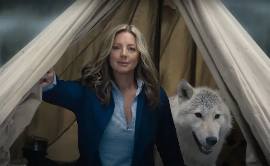Celebs in Super Bowl 2023 Commercials: Alicia Silverstone, Serena Williams and More Big Game Cameos tent