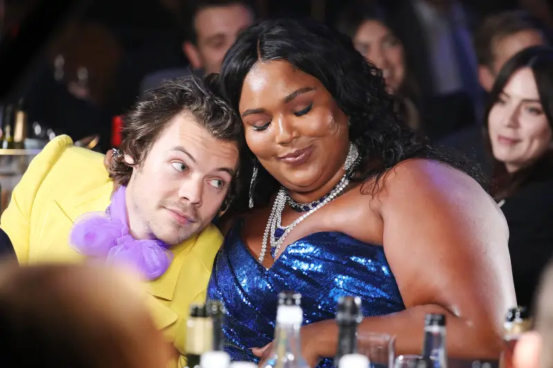 Harry Styles' Inner Circle- Stevie Nicks, Lizzo and More Famous Friends - 067