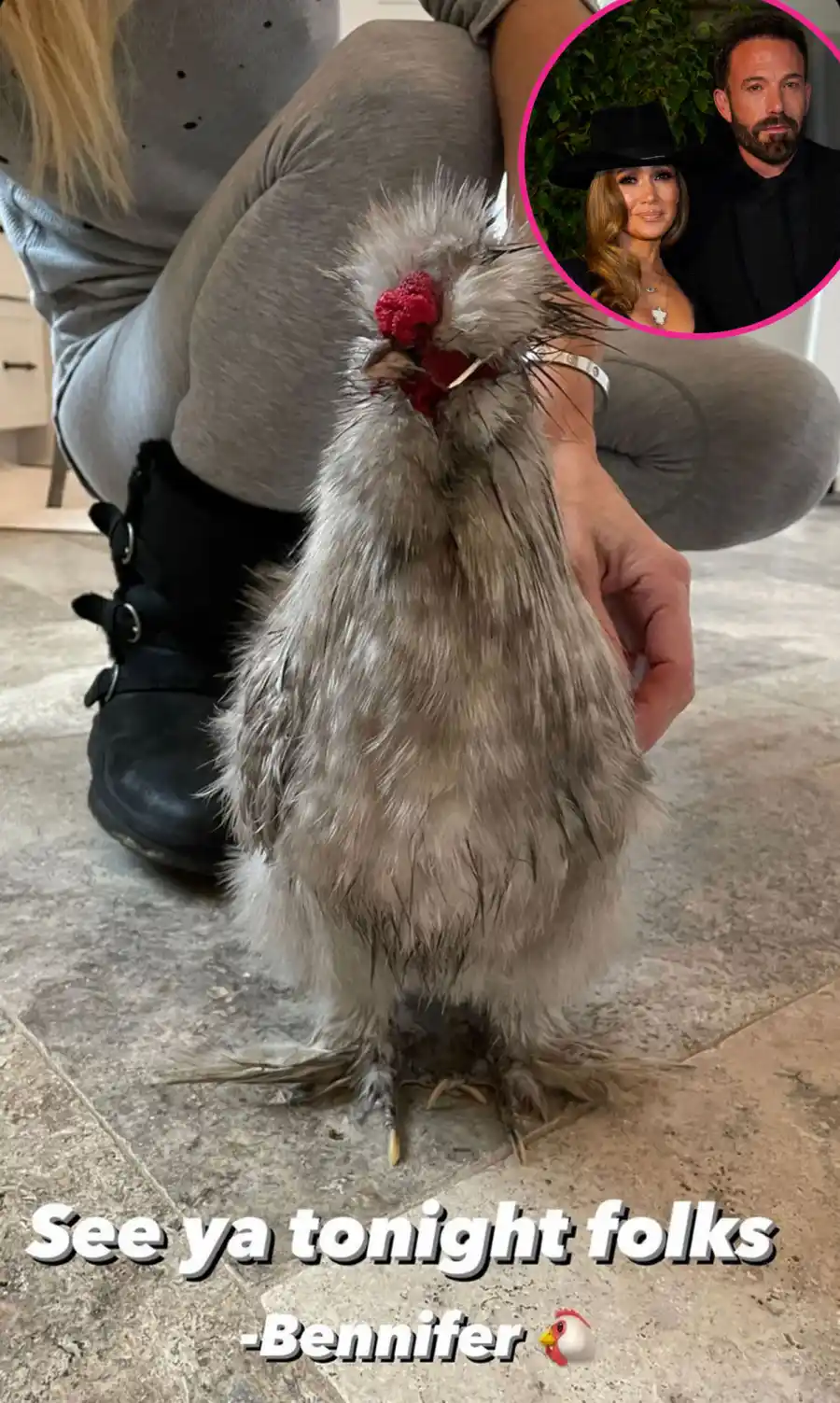 Pets Named After Stars christina haack