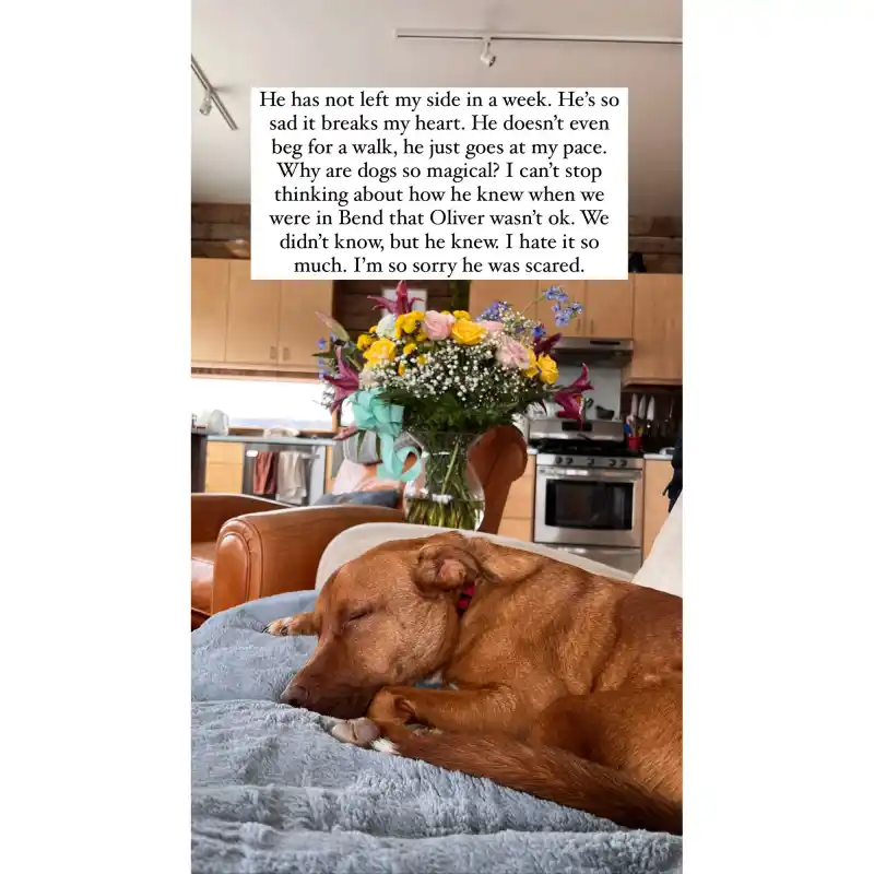 Sarah Herron's Dog Hasn’t ‘Left My Side’ Since Pregnancy Loss: 'Don't Know What I Would Do Without Him'