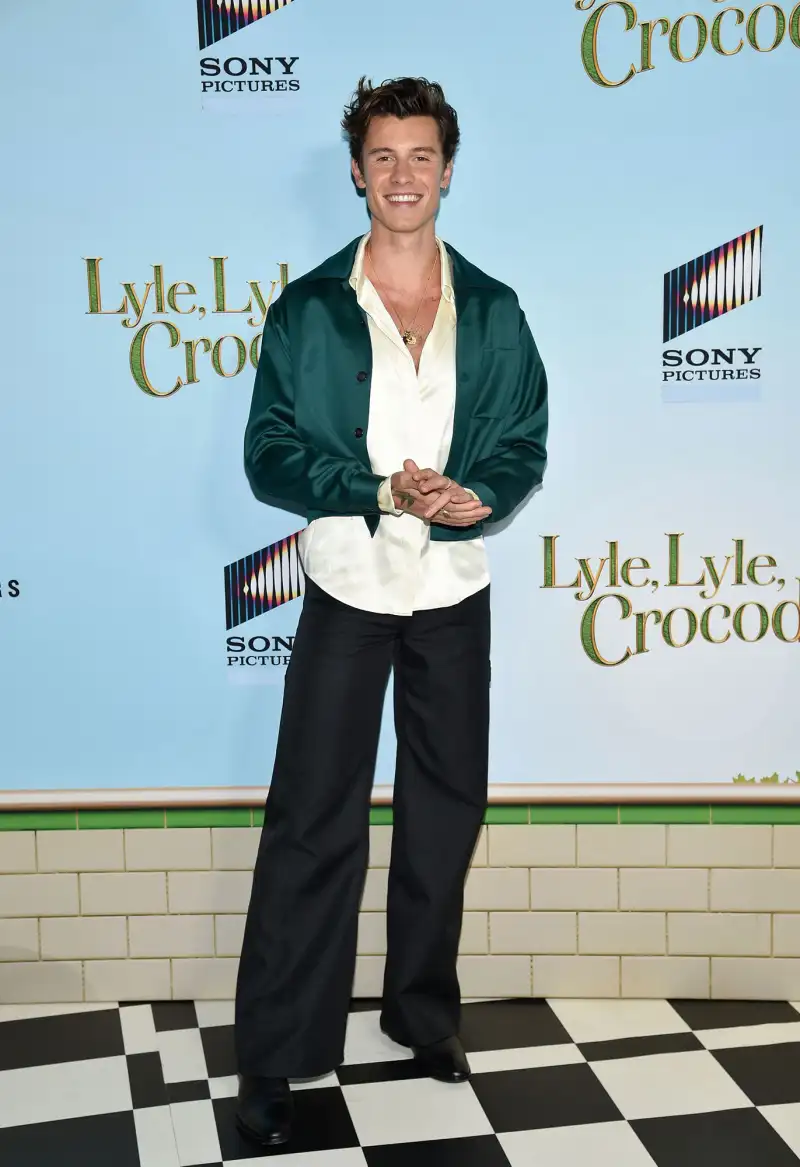 Shawn Mendes Reveals the Reason He Shaved His Head: An ‘Urge’ to ‘Shake Myself Up’