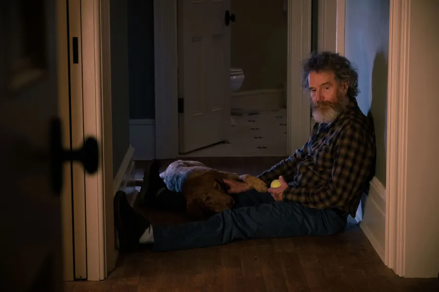 Your Honor TV Shows Ending in 2023