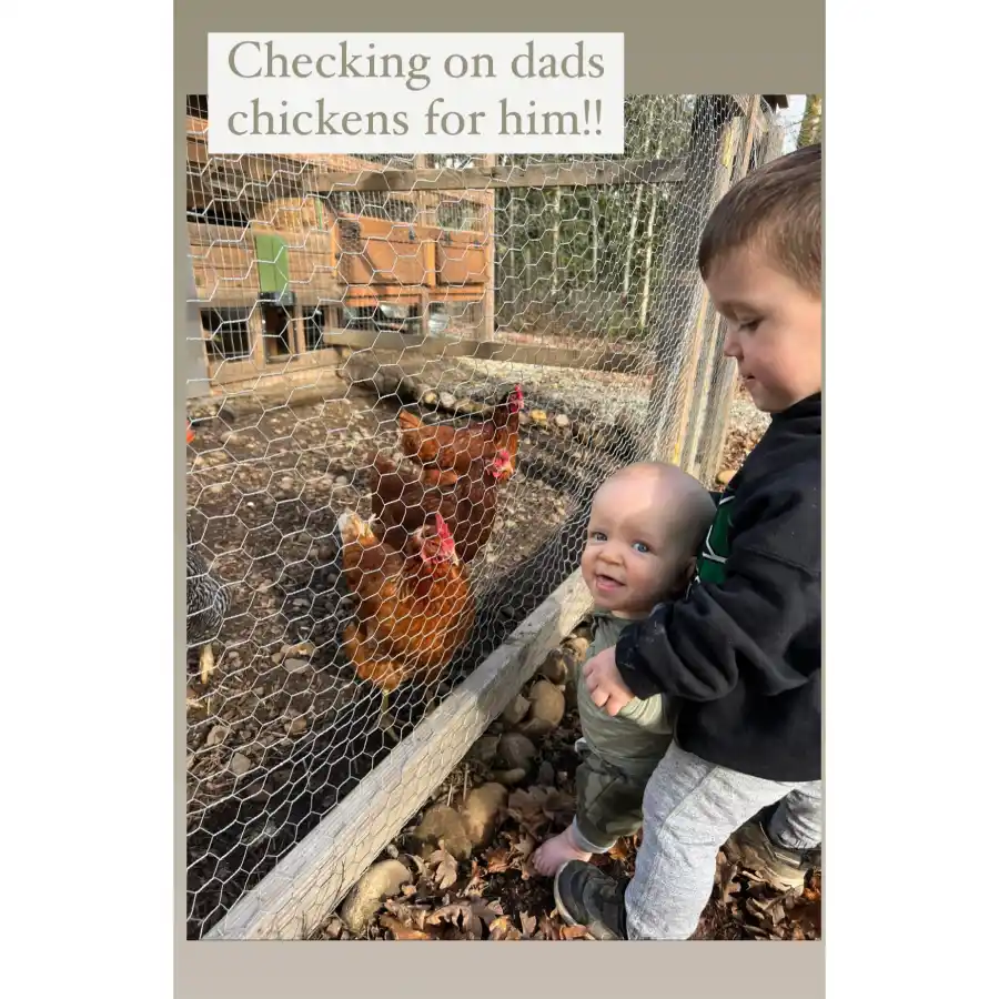 Celebrities Who Have Chicken Coops at Replica Luxury Handbag