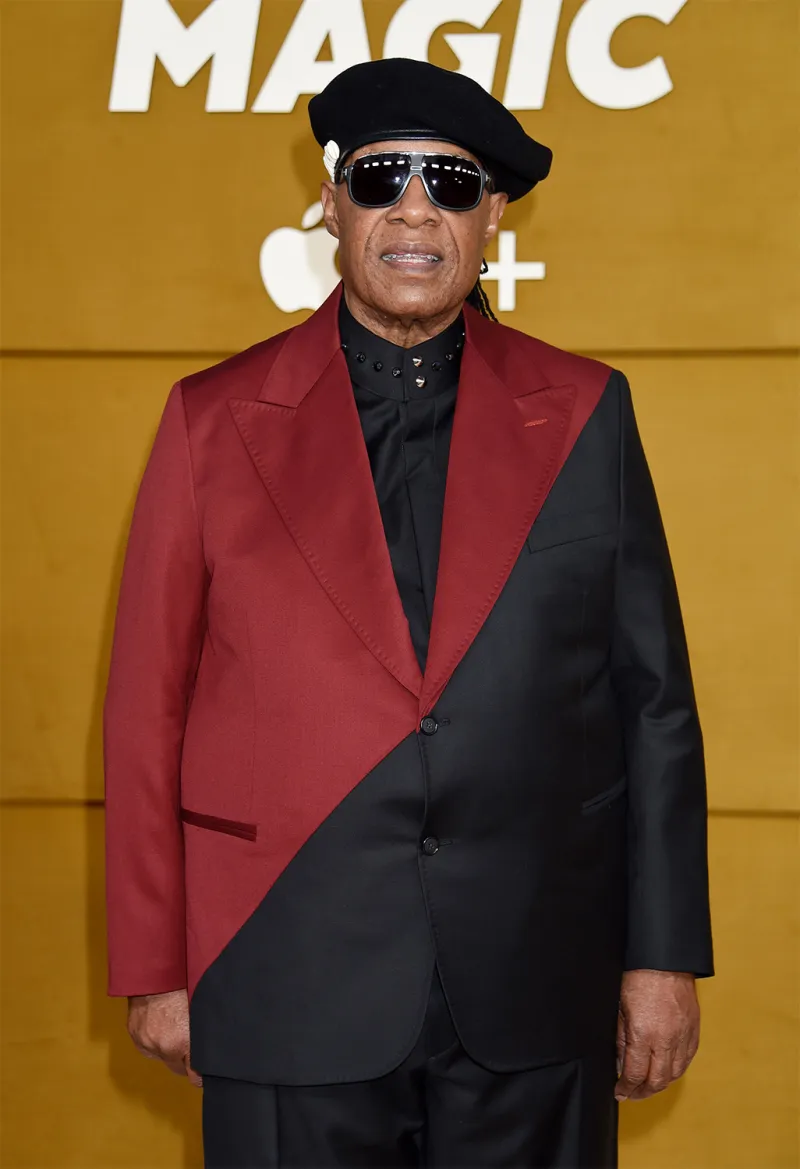 Stevie Wonder Dead: Legendary Musician Dies at TKAGE