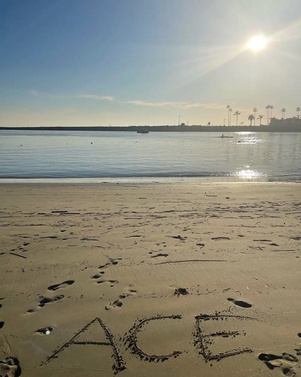 &lsquo;Real Housewives of Orange County&rsquo; Star Heather Dubrow Claps Back at Criticism She Used Son Ace's Transition to Stay 'Relevant' - 527