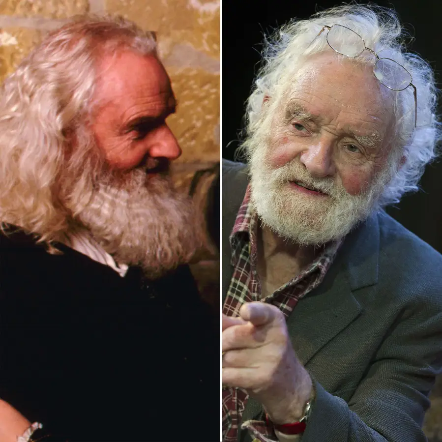 'Ever After- A Cinderella Story' Cast- Where Are They Now? - 479 Patrick Godfrey