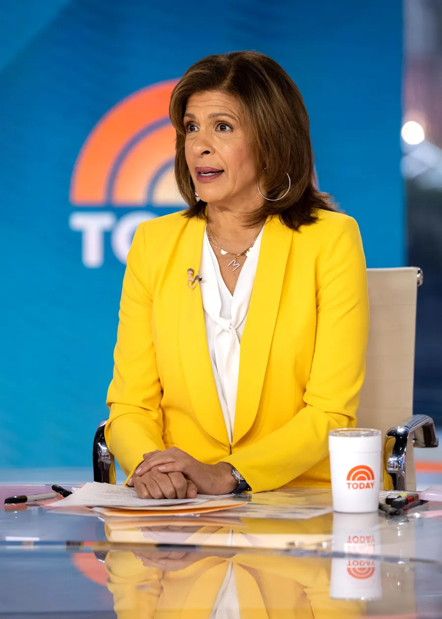 Hoda Kotb's Ups and Downs Over the Years