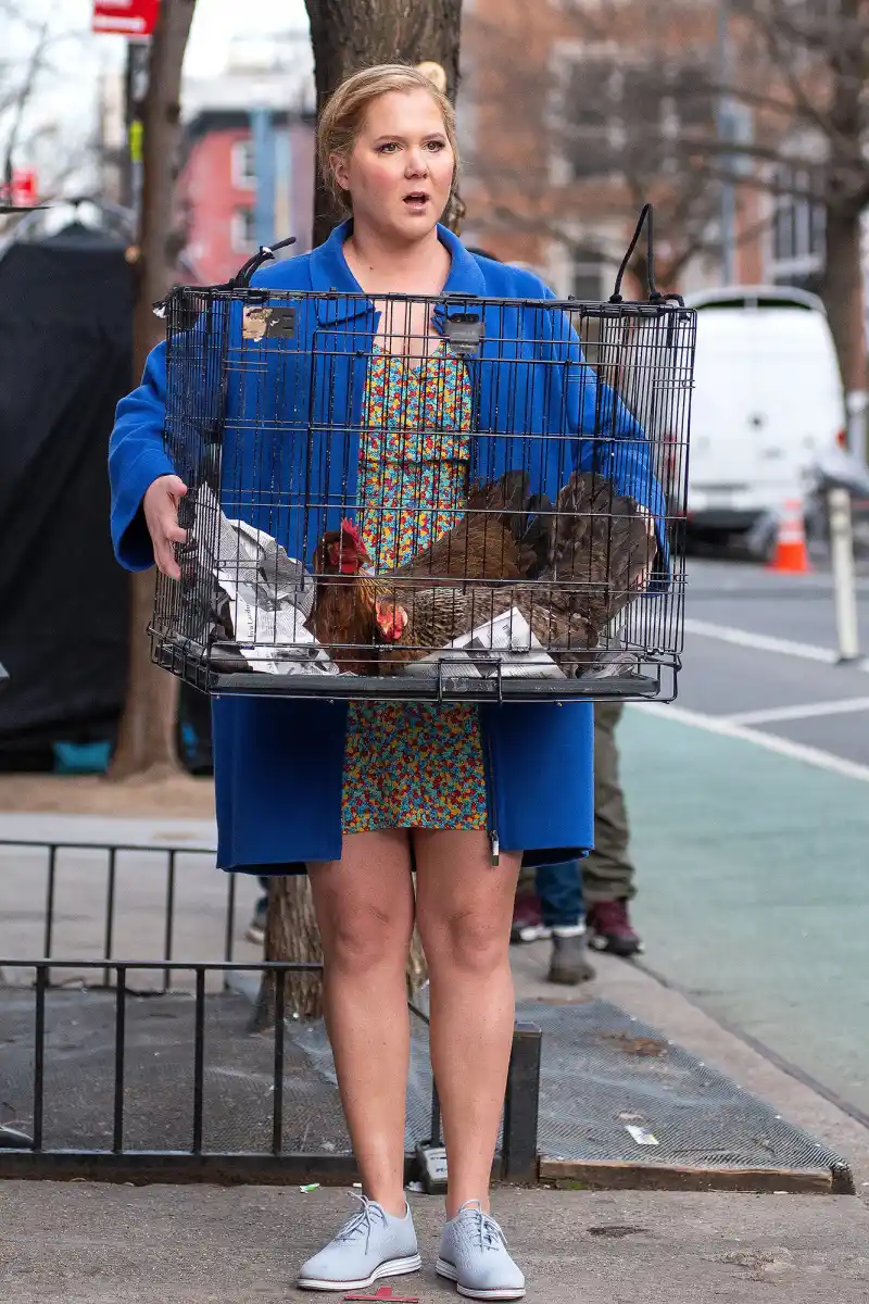 Amy Schumer Films Scene With Chickens On "Life & Beth" Set