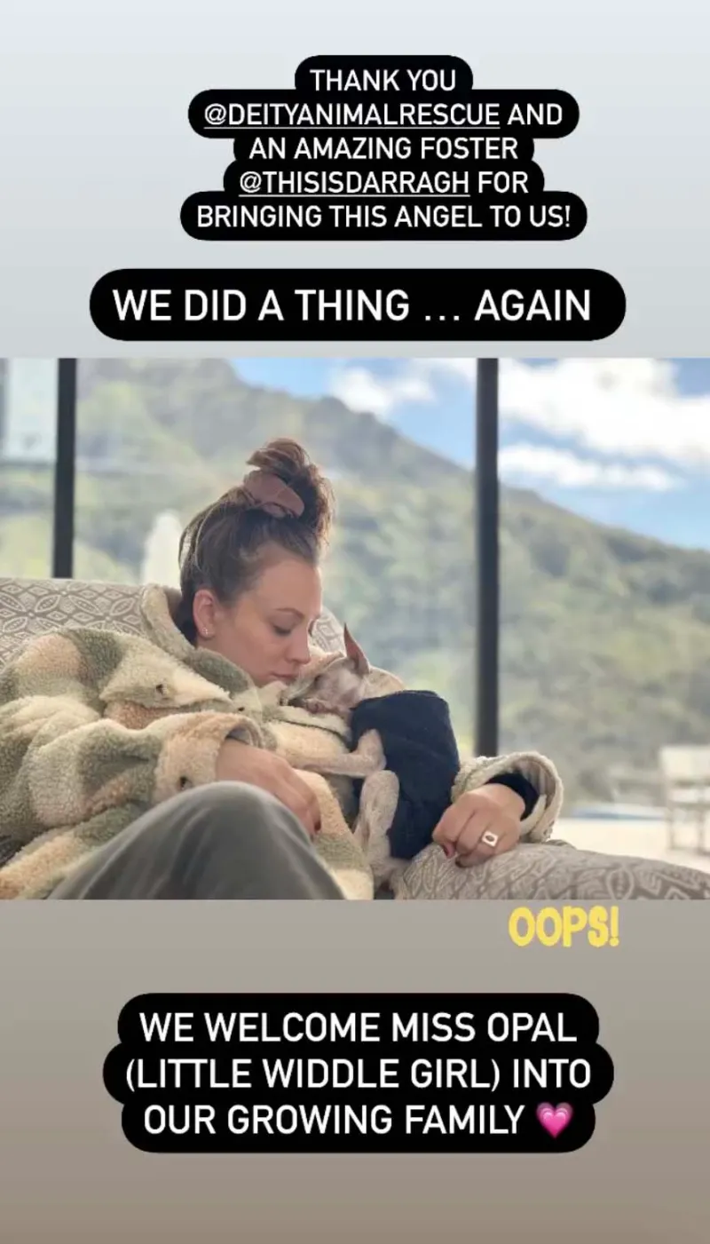 Pregnant Kaley Cuoco and Tom Pelphrey Welcome Rescue Dog Before Baby’s Arrival