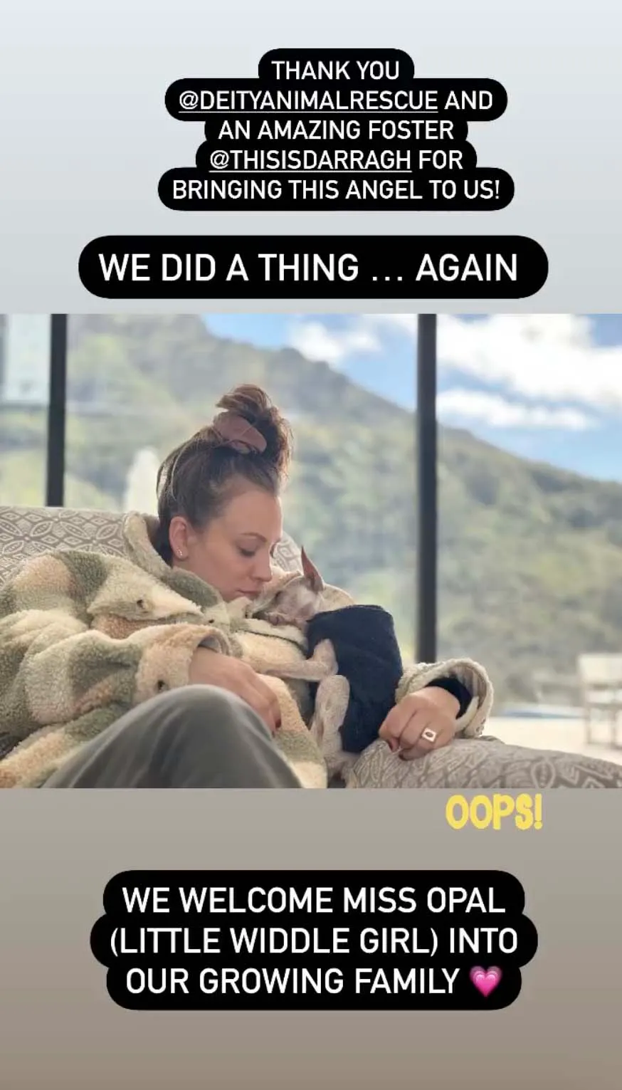 Pregnant Kaley Cuoco and Tom Pelphrey Welcome Rescue Dog Before Baby&rsquo;s Arrival