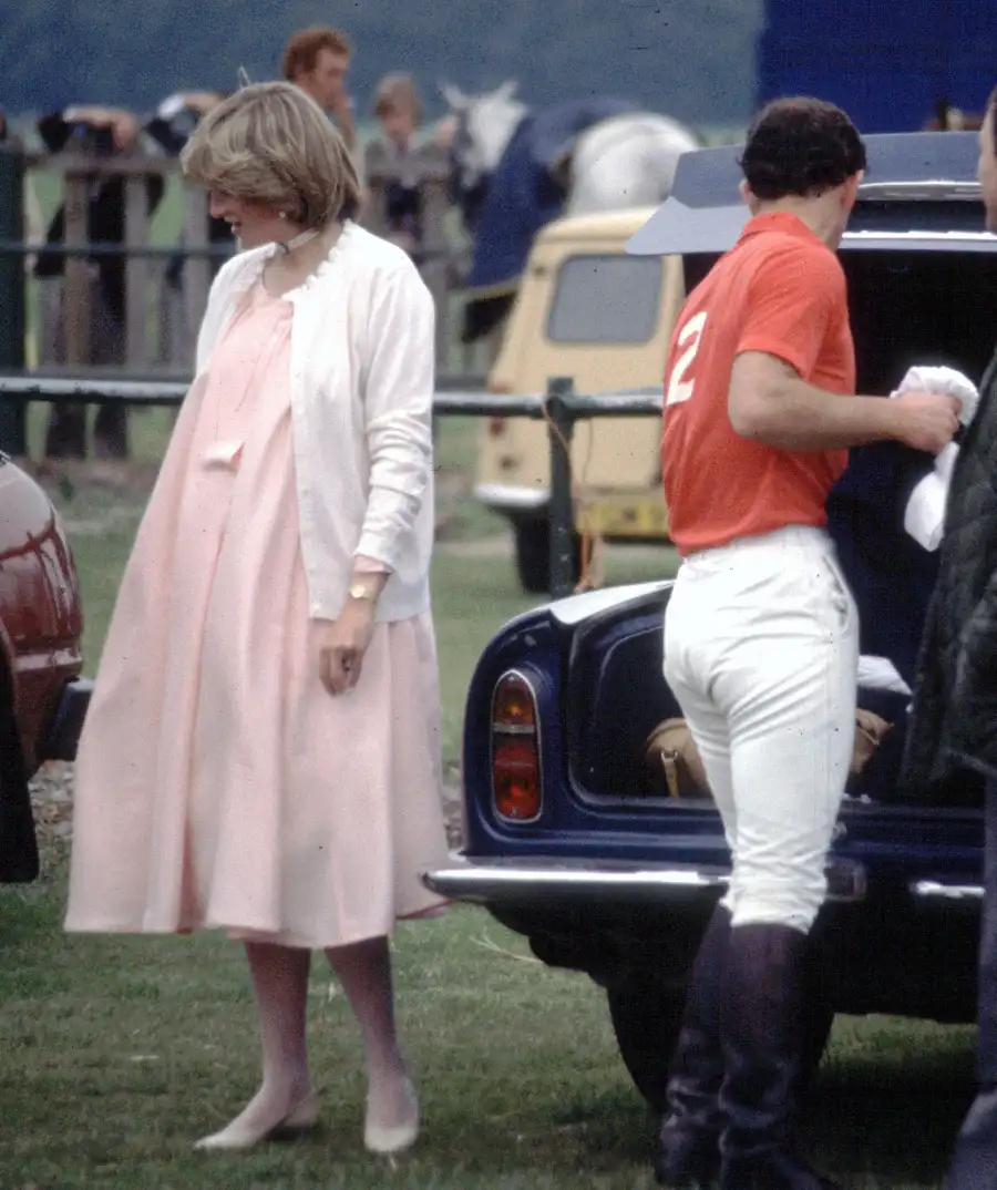 Princess Diana: Her Pregnancy With Prince William
