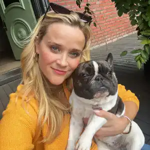 Reese Witherspoon's Cutest Moments With Her Dogs