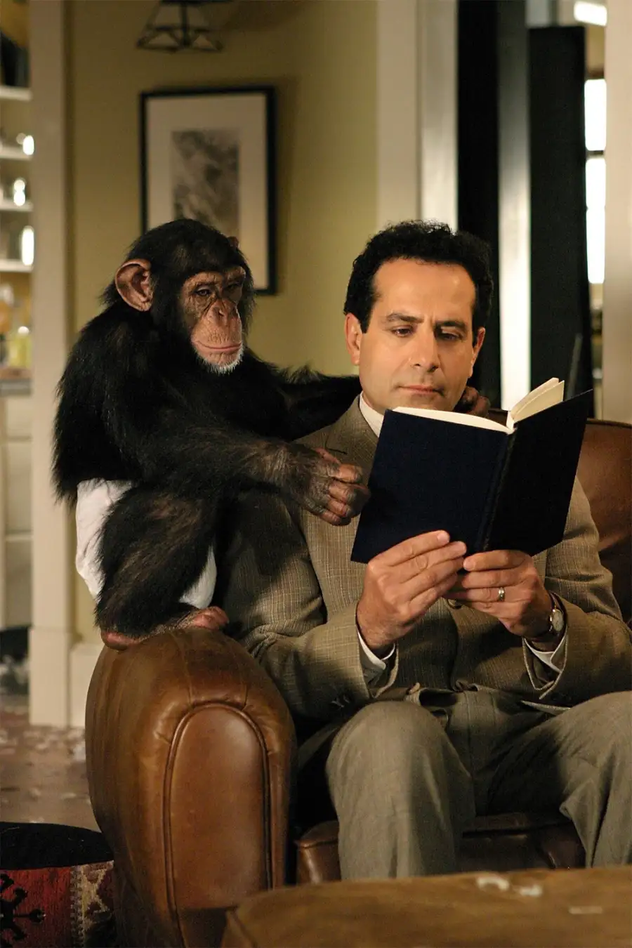 Best Police Drama/Cop Shows Over the Years