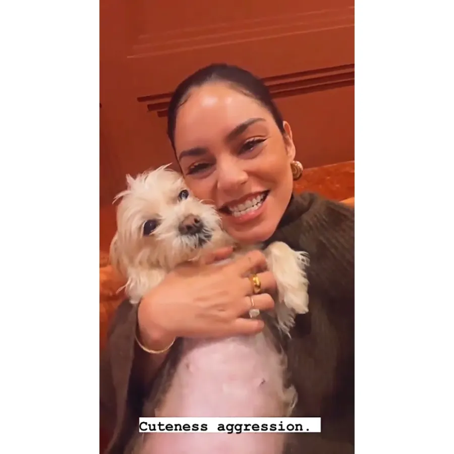 Vanessa Hudgens and More Stars Share Cute Pics With Beloved Pets