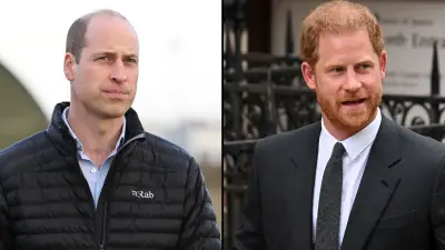 Royal Expert Thinks Prince William Should Have Responded to Prince Harry's 'Spare' to Extend the Hand of Brotherhood