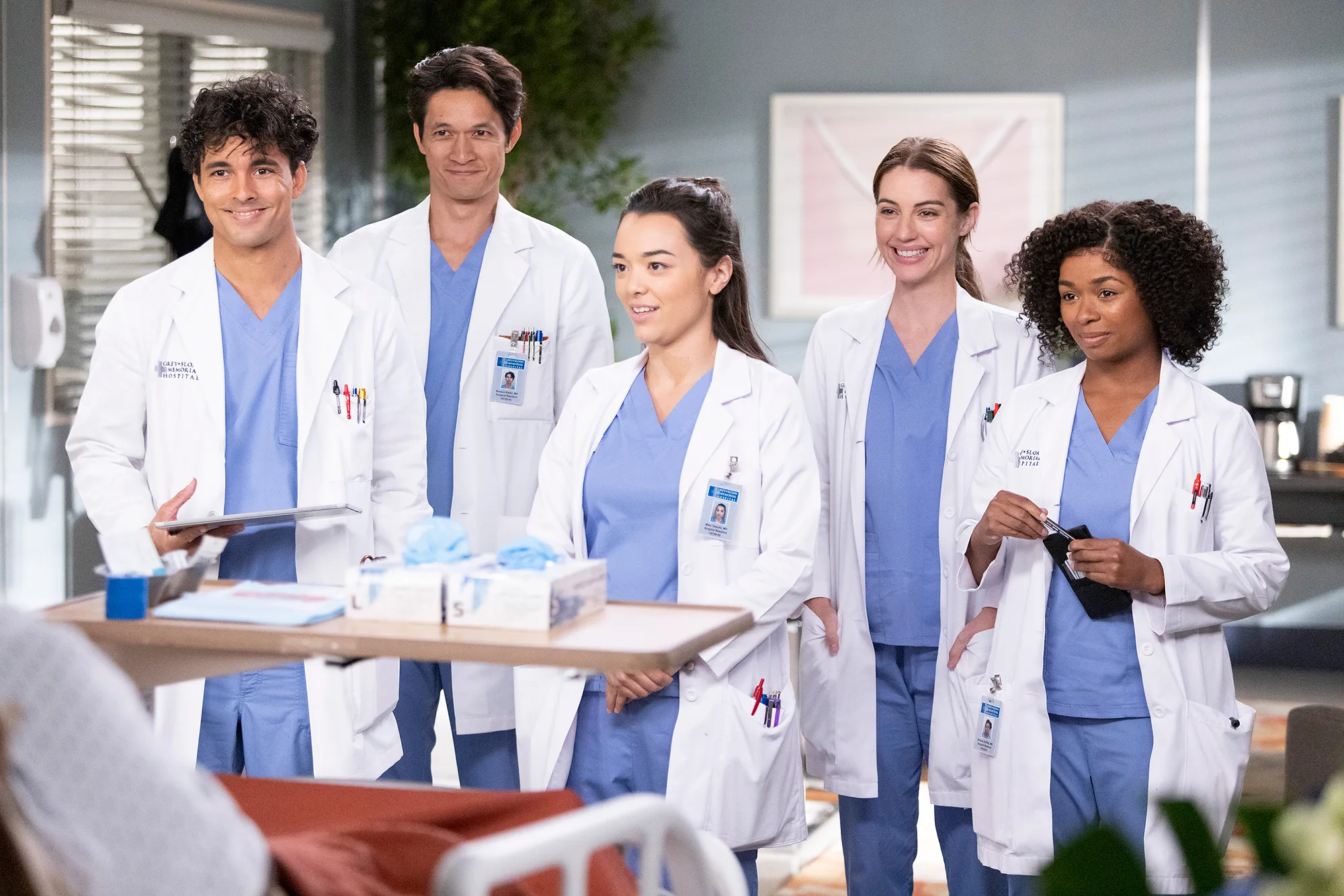 Scrubbing Back In! ‘Grey’s Anatomy’ Renewed for Landmark 20th Season