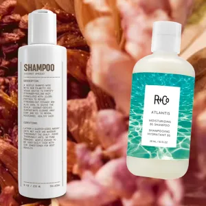 Best Smelling Shampoo Featured Image