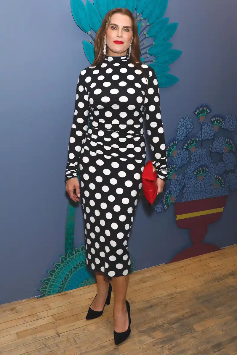 Brooke Shields About Last Night