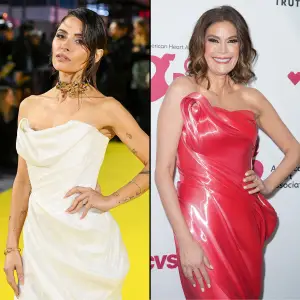 Celebrities Who Were Professional Cheerleaders- Sarah Shahi Teri Hatcher and More 069