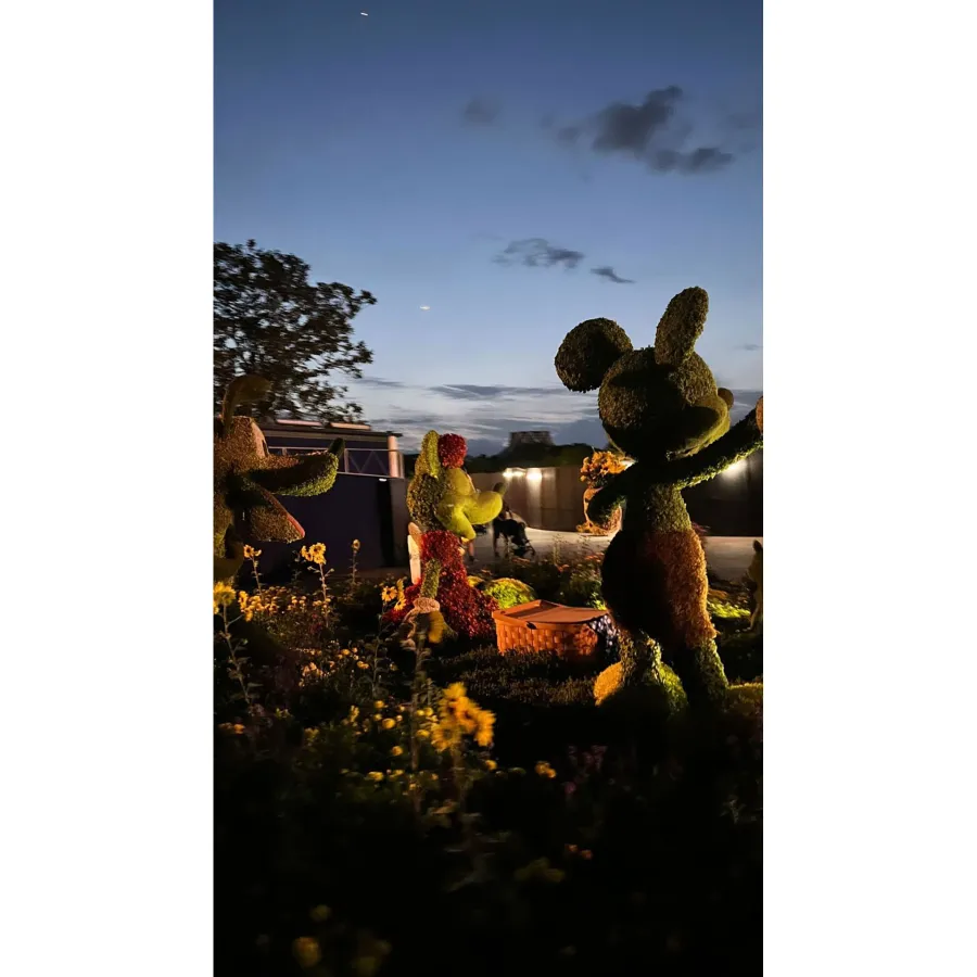 Gigi Hadid Celebrates 28th Birthday With at Disney World 12