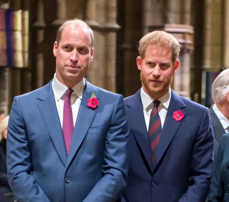 How Prince William and Prince Harry Will Act at the Coronation