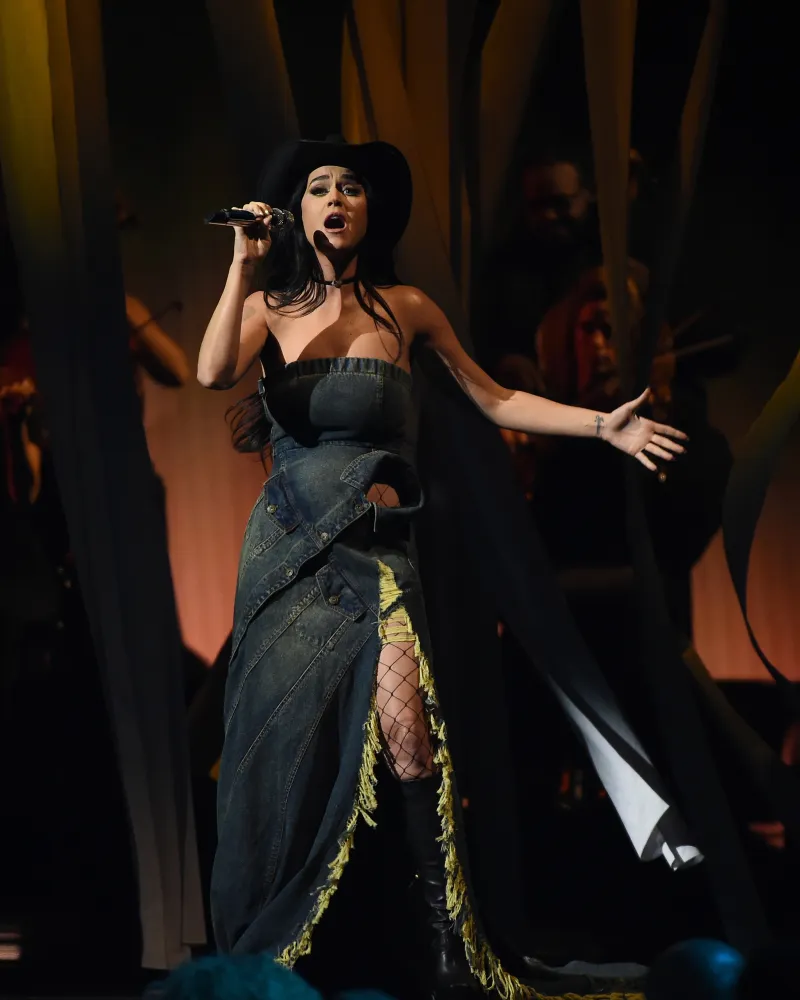 Katy Perrys American Idol Ups and Downs