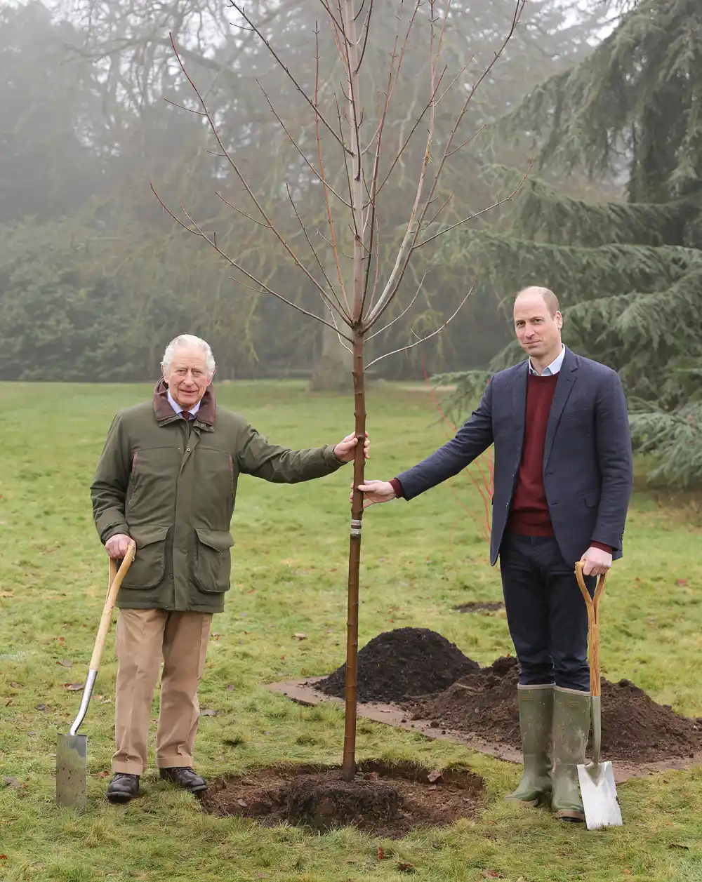 King Charles III Announces the End of Late Mother Queen Elizabeth II&rsquo;s Green Canopy Project- &lsquo;A Fitting Tribute&rsquo; - 550
