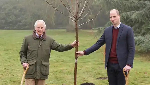 King Charles III Announces the End of Late Mother Queen Elizabeth II’s Green Canopy Project- ‘A Fitting Tribute’ - 550