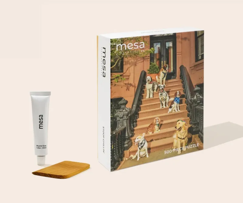 Mesa Puzzles Stoop Chillin'