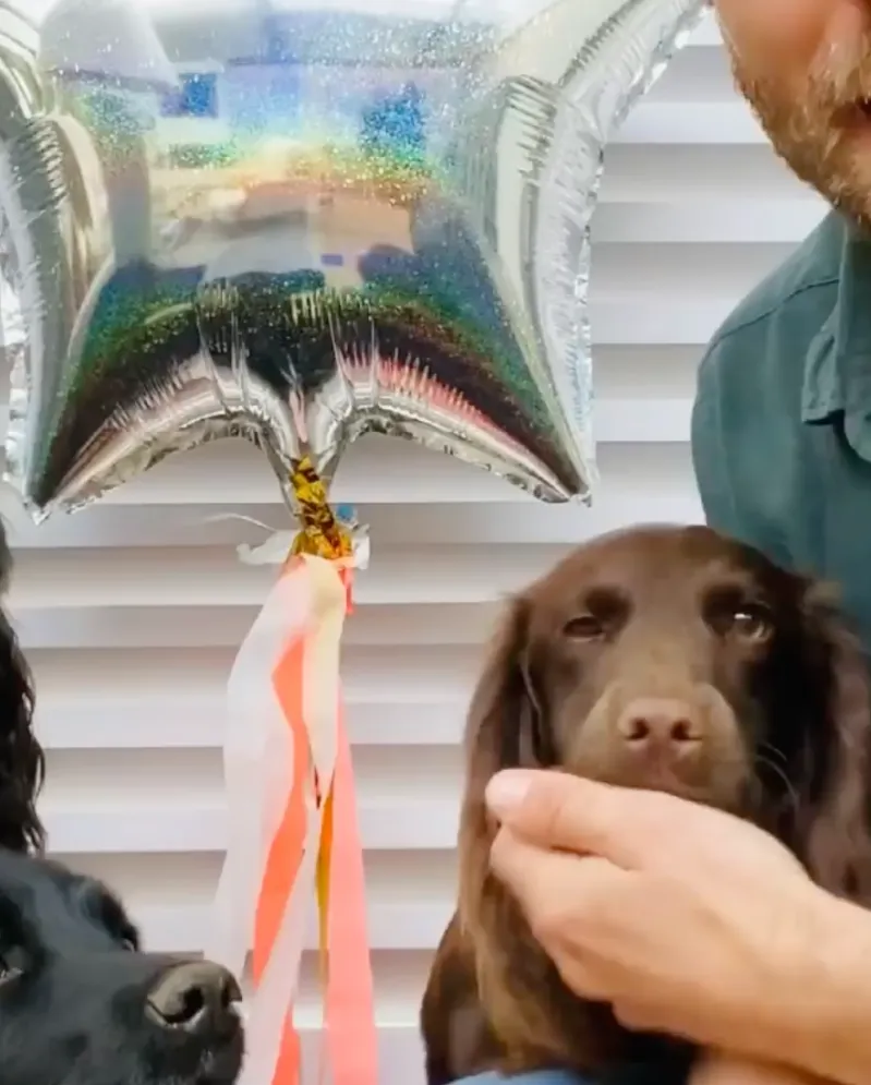 Stars Celebrate Their Beloved Pets Birthdays Over the Years