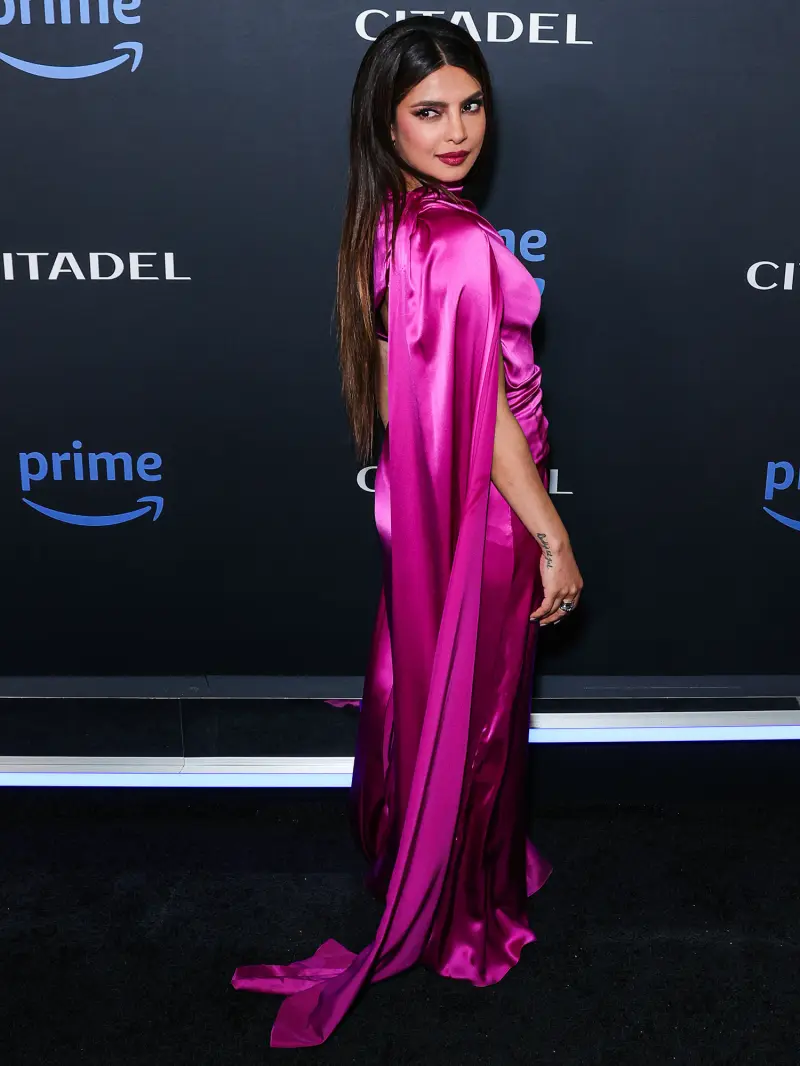 Priyanka Chopra Update 396