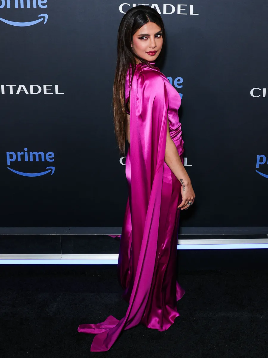 Priyanka Chopra Update 396