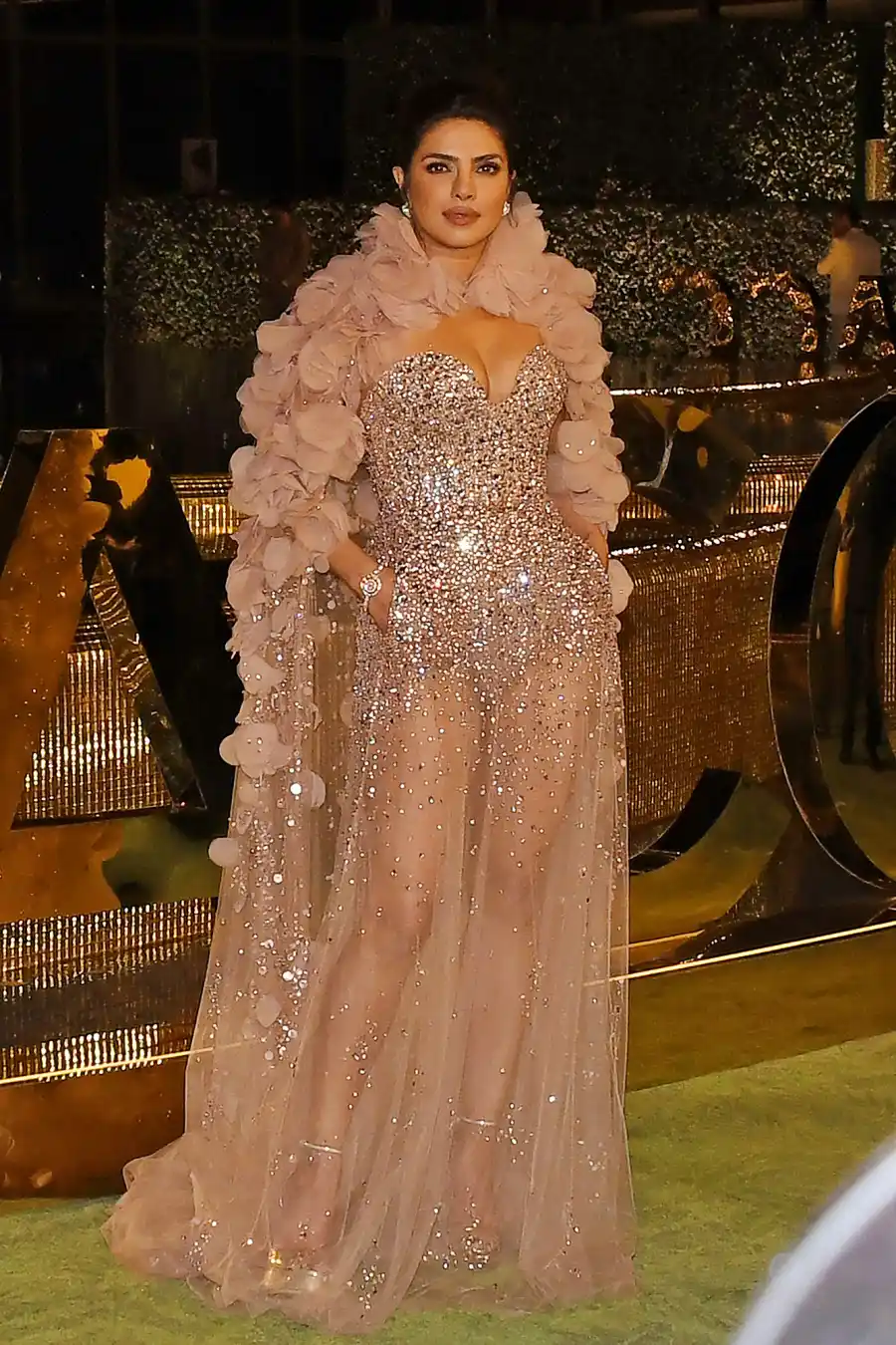 Priyanka Chopra Update - 649